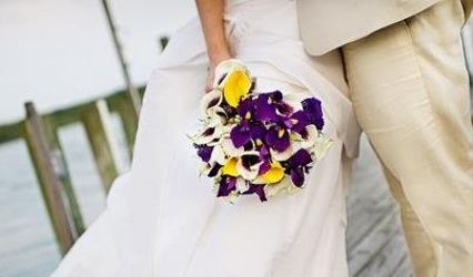 Petal Pushers, Etc.