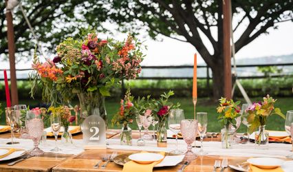 Catalina Weddings and Events