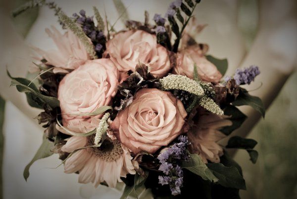 Alison White Photography