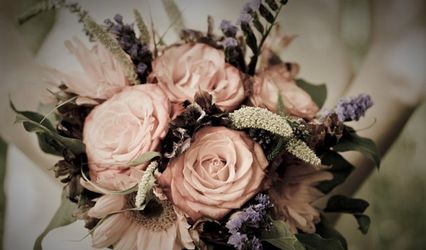 Alison White Photography