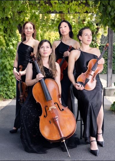 Synchronicity Strings