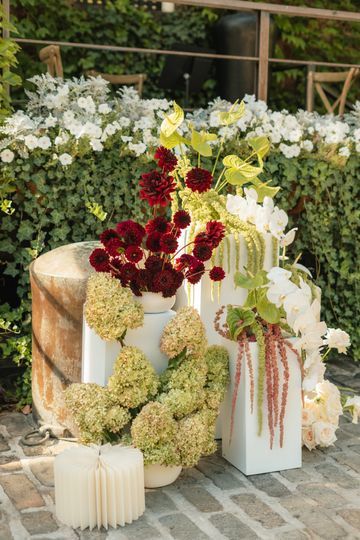 Dancing Stems Design