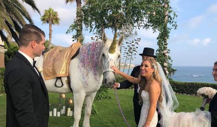 Fairytale Carriage Co