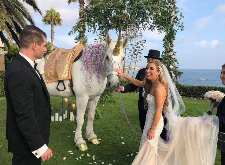 Fairytale Carriage Co