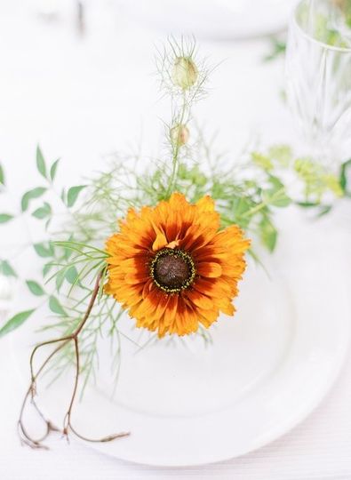 Laura Thomson Design