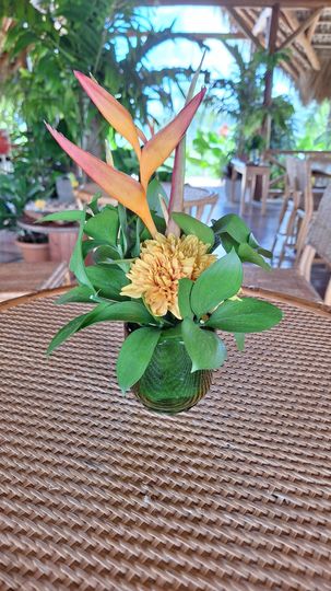 Grace Garden Flowers and Decor