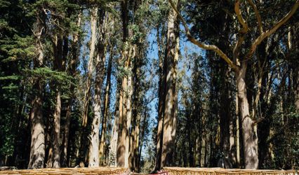 The Haven at Tomales