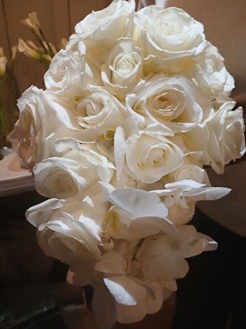 Rose of Sharon Gift Collection