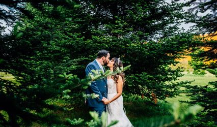 Parallel Roots Photography