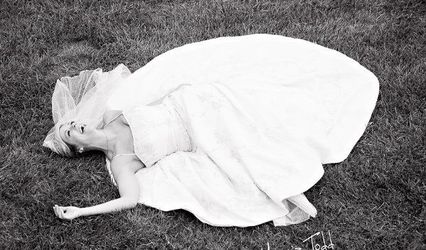 Marcia Todd Photography