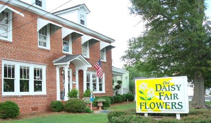 The Daisy Fair Flowers