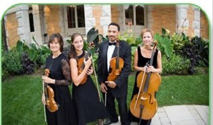 Avalare Strings
