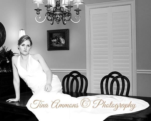 Tina Ammons Photography