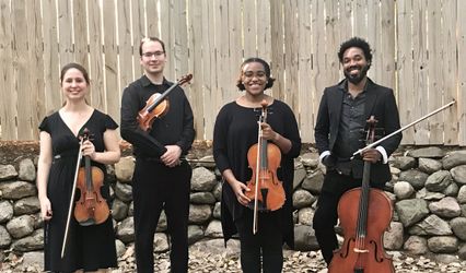 KalHaven Strings