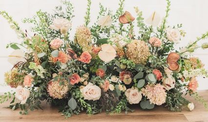 Tammy Koenig Wedding Design & Event Planning