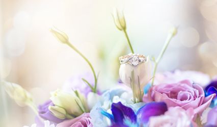 Sarai Minard Photography