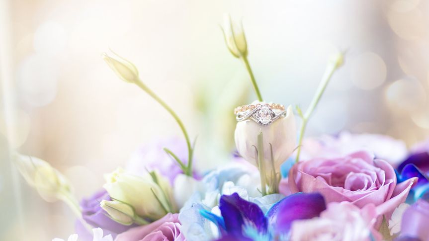 Sarai Minard Photography