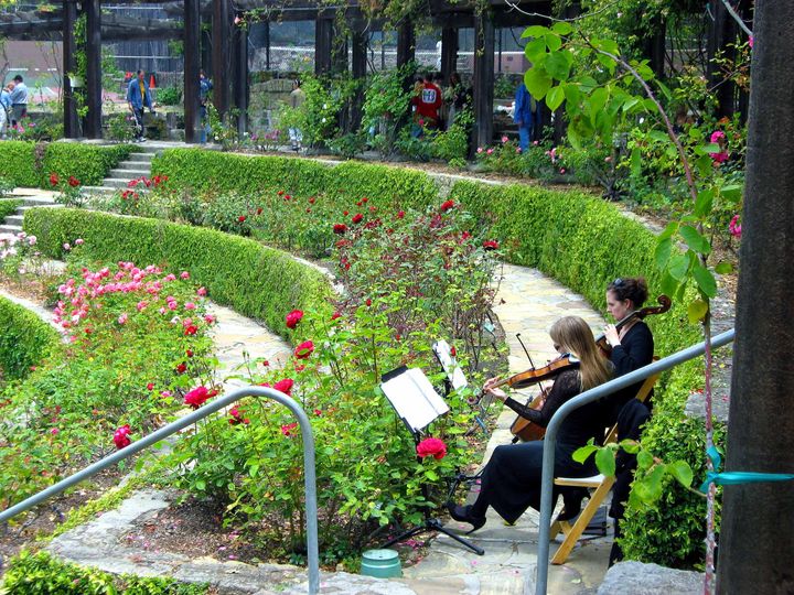 Rose Garden Golden Gate Park Venue San Francisco Ca