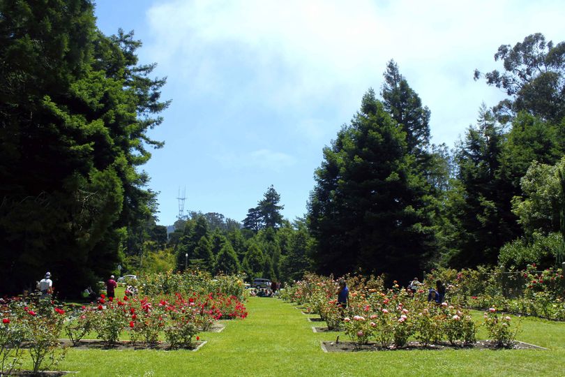 Rose Garden Golden Gate Park Venue San Francisco Ca