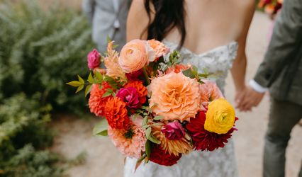 Kate Kinsella Events