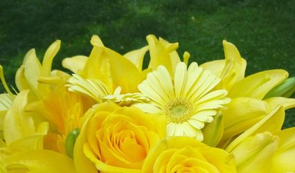 Blossom Floral Design