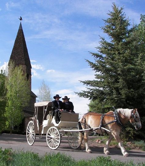 Aspen Carriage and Sleigh