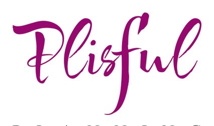 Plisful Planning LLC