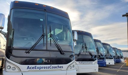 Ace Express Coaches