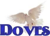 California Wedding 714-903-6599 WHITE DOVE RELEASE