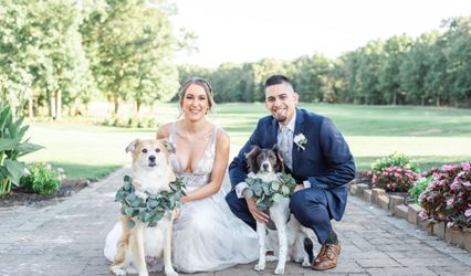 Smile ‘N’ Wag