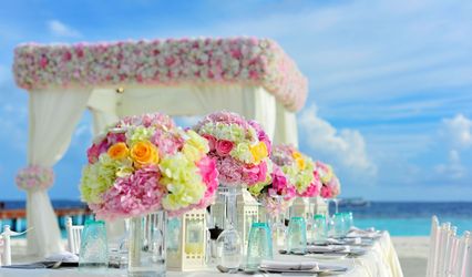 Loves Young Dream Weddings