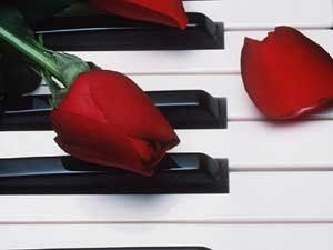 Something New Wedding Music