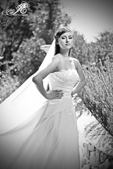 Jackie Willome Photography