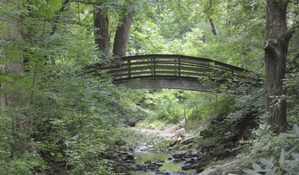 Asheville Wedding Services