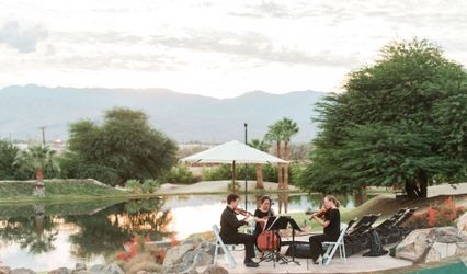Subito Strings