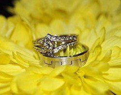 S and D Photography