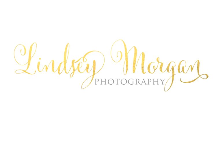 Lindsey Morgan Photography