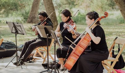 The Noble Strings