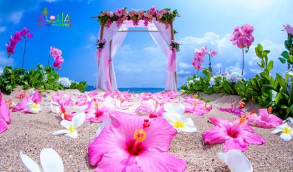 Aloha Island Weddings