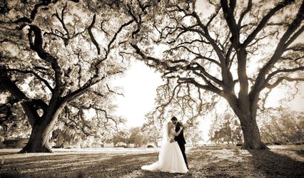 Becker Photographer