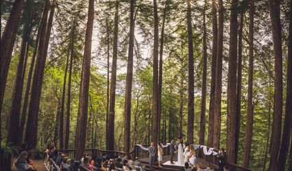 Amphitheater of the Redwoods at Pema Osel Ling