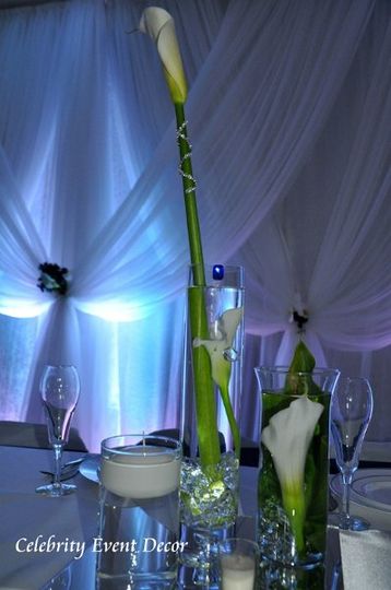 Celebrity Event Decor Flowers Jacksonville Fl Weddingwire