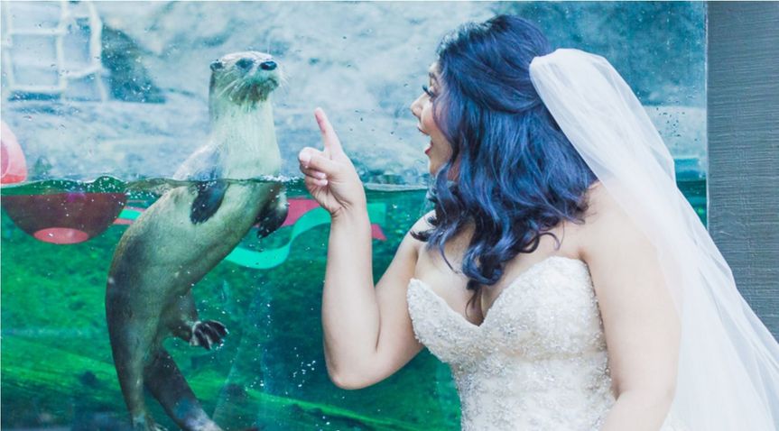 Adrian Parties Weddings And Events Planning Oakland Ca Weddingwire