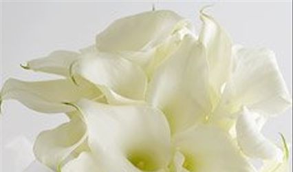 Patty's Flower Shop