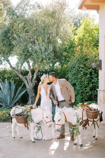 Austyn Elizabeth Photography, LLC