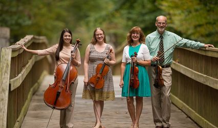 Triangle String Quartet