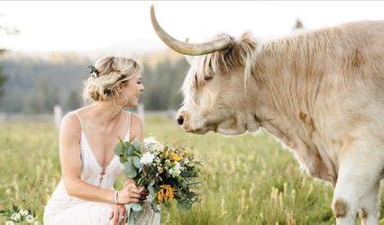 Wildhorse Events