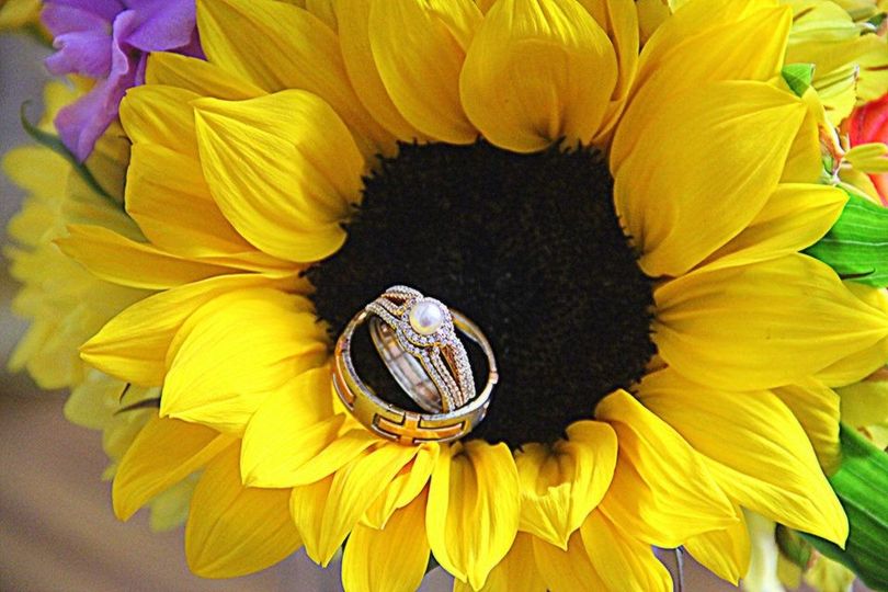 Burnell's Creative Gold