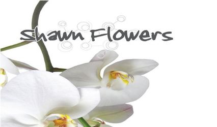 Shawn Flowers