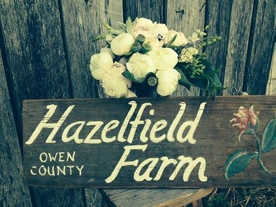 Hazelfield farm